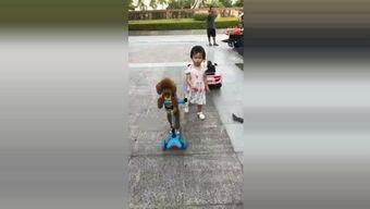 成人滑板搞笑视频大全,成人滑板视频合集欢乐盘点