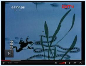 成人小蝌蚪视频下载,全面解析与技巧分享