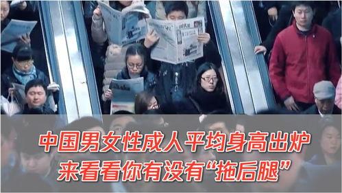 成人长高挑战视频,揭秘科学方法与成功案例