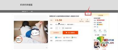 视频成人特级网站免费,免费体验的诱惑与风险