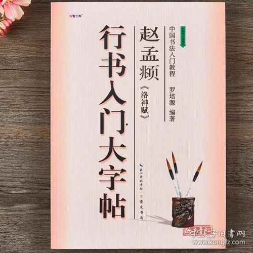 成人毛笔字练字临摹视频,跟随视频轻松掌握成人练字技巧