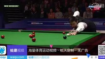 成人台球视频大全