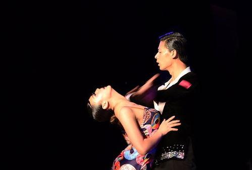 梵希成人舞蹈视频大全,激情四溢,舞动魅力人生