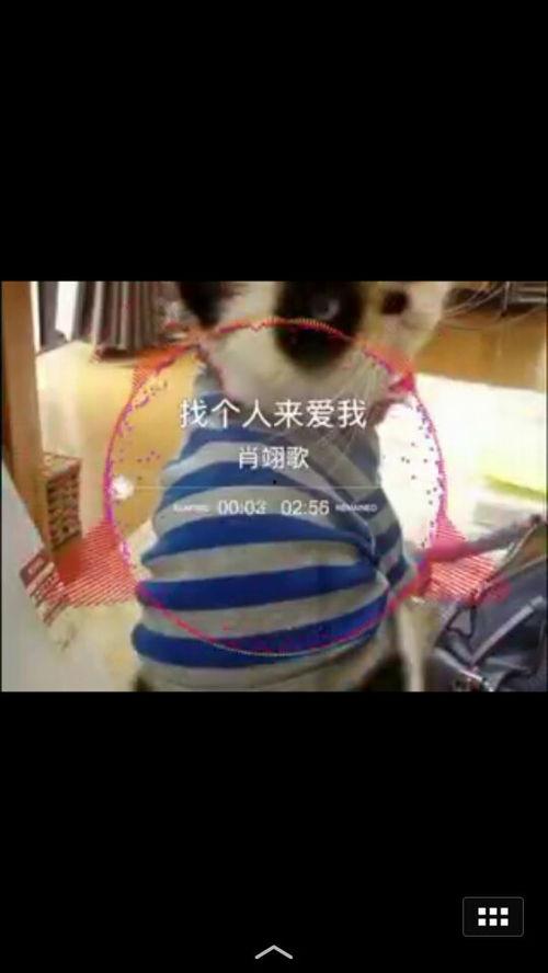 如何练成人参唢呐视频